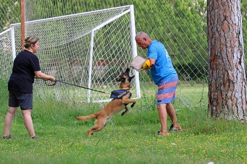 Jute Beissarm für effektives Hundetraining