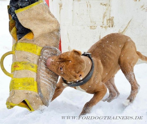 Hetzarm für
Hundeausbildung