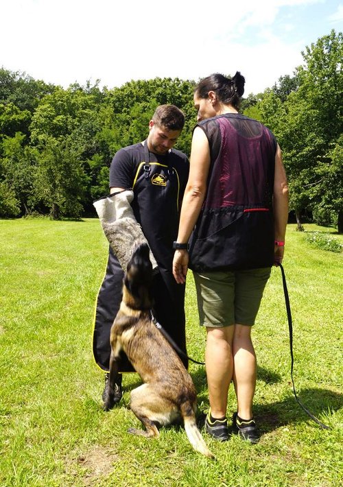 Preiswertige Hetzschütze für Hundesport