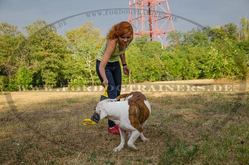 Hundesportartikel aus Französischem Leinen