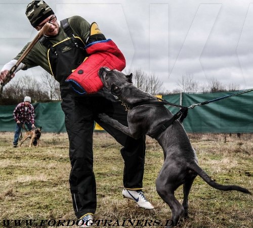 Hundetrainer Bekleidung aus Nylon kaufen