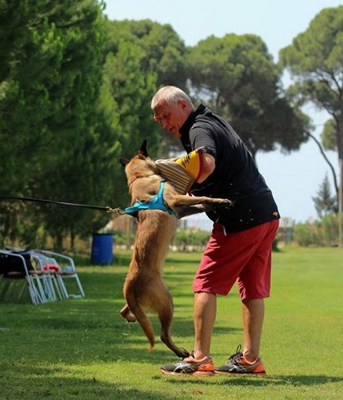 Jute Hetzarm für Hundesport