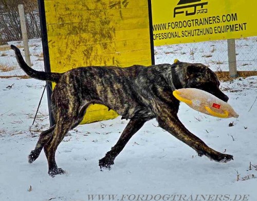 Jute Beisskissen für große Hunde