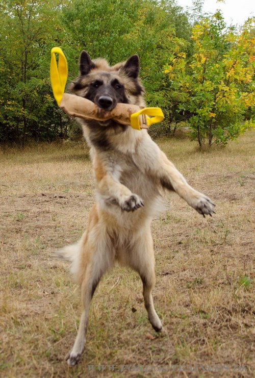 Leder Beisswurst für Hundesport