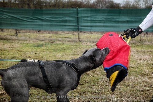 Leinen Wurfarm für Hundeausbildung