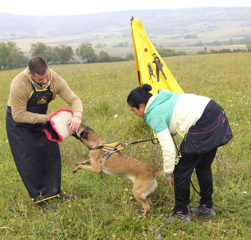 Hochwertige Hetzschütze für Hundeausbildung