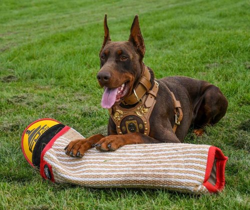 Schutzarm Jute für effektives Hundetraining 