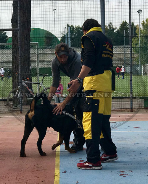 Allwetter Schutzanzug günstig kaufen