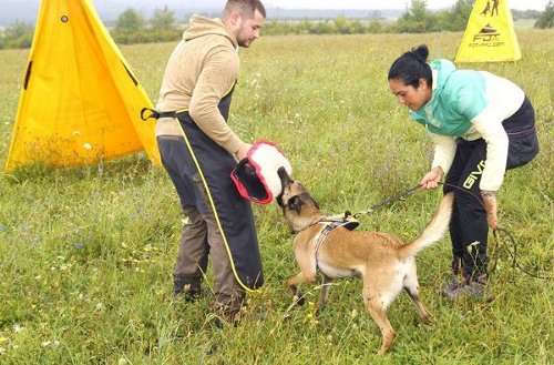 Hundetraining mit unserem Beissarm noch interessanter