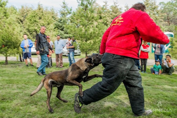 Professionelle gutgenähte Vollschutzkleidung für Hundebesitzer