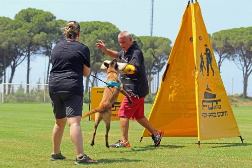 Dienstversteck für Hundesport