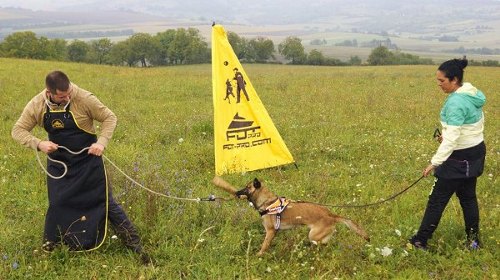 Schutzversteck für Hundesport