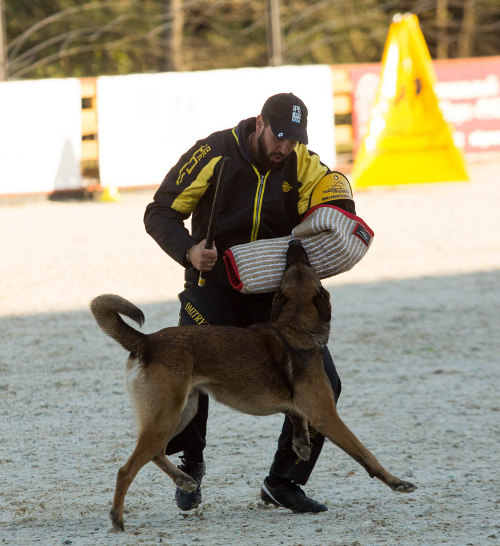 IGP Hetzarm
kaufen