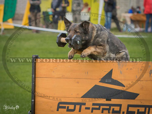 Feste Barriere für Training mit dem Hund