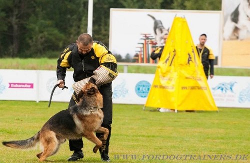 Target Stick kaufen