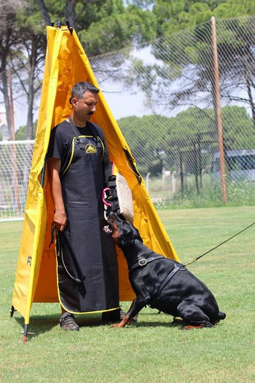 Dienstversteck für effektives Hundetraining