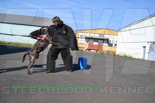 Vollschutzanzug fuer Schutzhundetraining kaufen