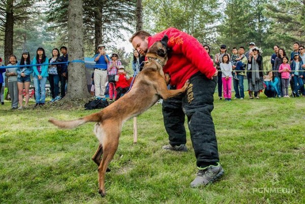 Hochwertige Bekleidung für Hundesport