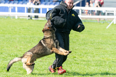 Schutzanzug für Sport und Training