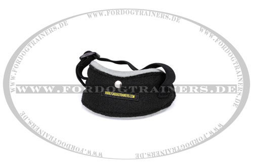 sichere Tasche für Hundeball