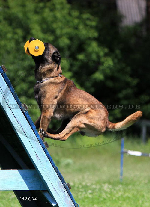 starke Hunde Holzhantel