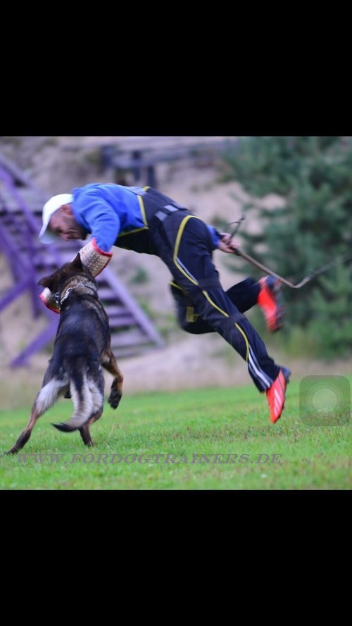 Kurzer Schutzarm für Schutzhund Training