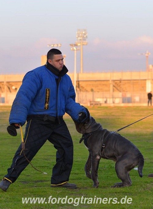 Beißanzug für
Polizeihundetrainings kaufen