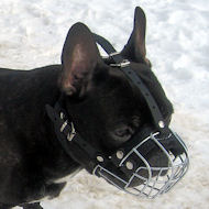 Maulkorb Französische Bulldogge