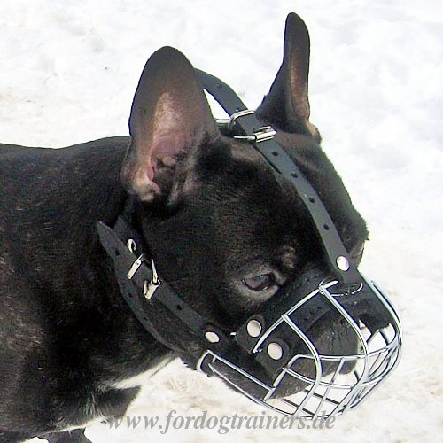 French Bulldog Wire Basket Dog Muzzle for small dog breeds - Click Image to Close