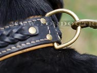 Swiss Mountain Dog Padded Dog Collar | Leather collar braided