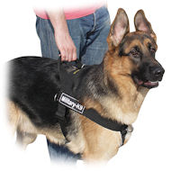 German Shepherd Nylon Multi-Purpose Dog Harness