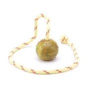 Solid Rubber ball on string for puppies and small dog breeds