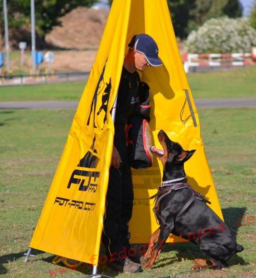 Doberman harness k9