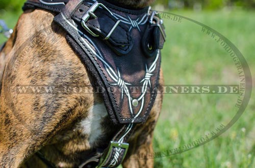 Boxer Hundegeschirr mit Stacheldraht Design