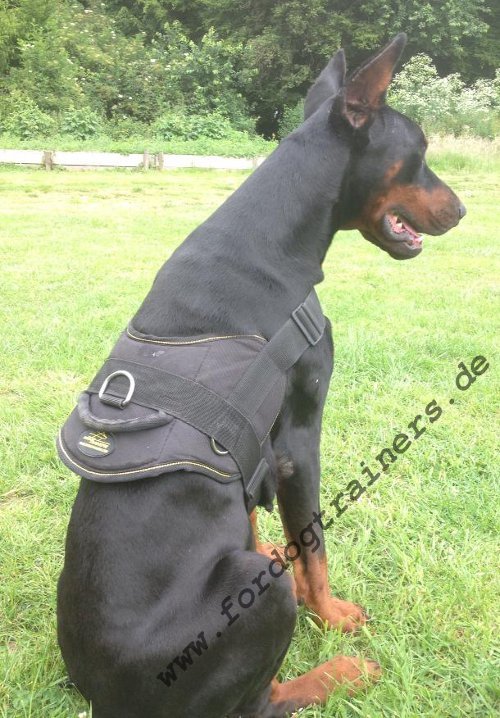 Hundegeschirr mit Handschlaufe fuer Dobermann