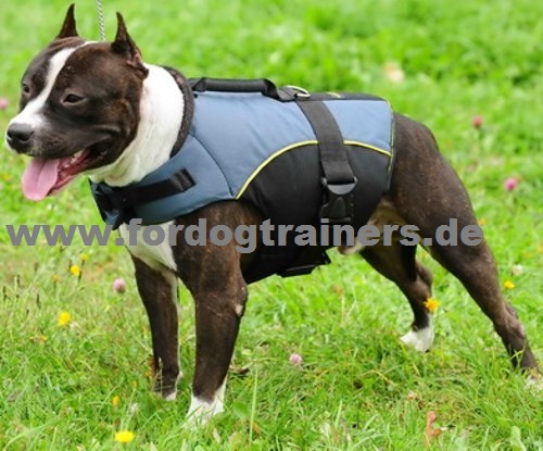 Pitbull perfekt rehabilitation nylon dog
harness