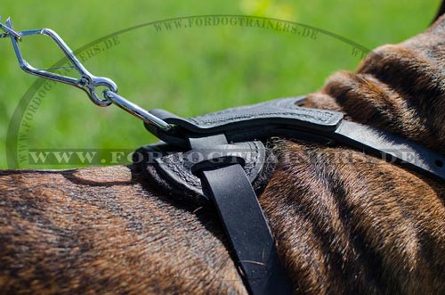 Geschirr für Boxer anschmiegsam