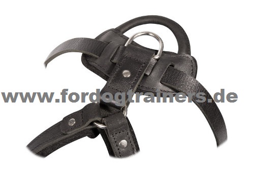 Fixed chest harness