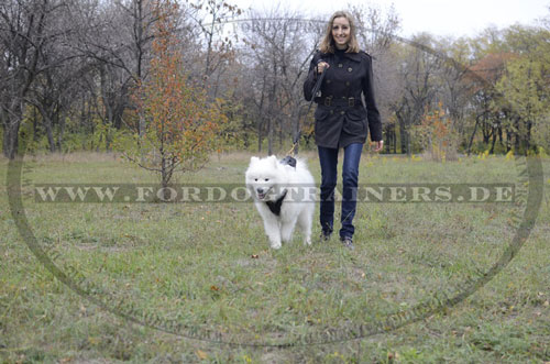 Strapazierfähiges gepolstertes Hundegeschirr aus Leder für Samojede