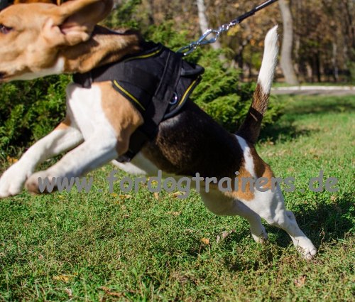 Nylon Sattelgeschirr für Beagle