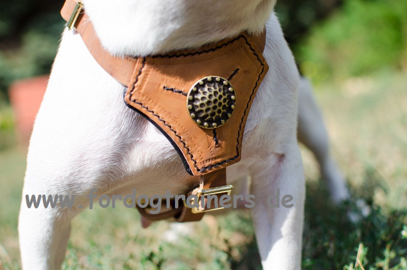 Royal gepolstertes Hundegeschirr für Französische Bulldogge Geschirr aus Leder für Französische