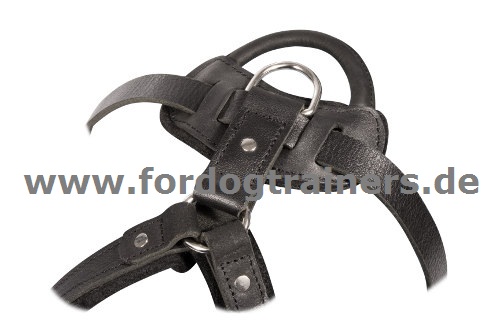 Leather harness for trainings