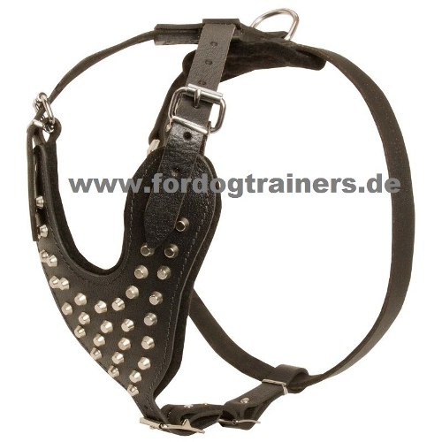 Laika studded harness