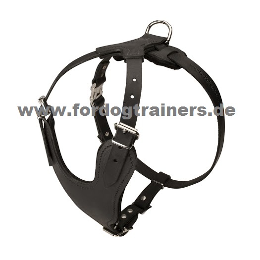 Dog
harness for protection work