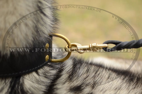 Robustes Lederhalsband für Alaskan Malamute