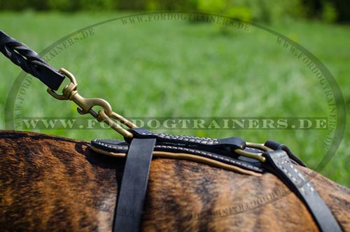 Brustgeschirr Nappa Leder Geschirr Boxer