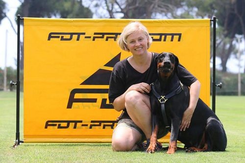 Dobermann Ledergeschirr, praktisch und robust