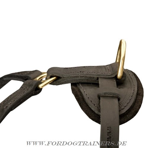 Tracking Dog Harness buy