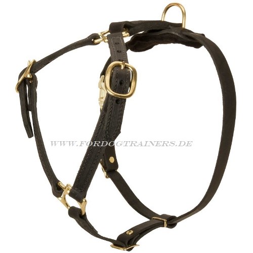 Staffordshirre Terrier K9 dog harness