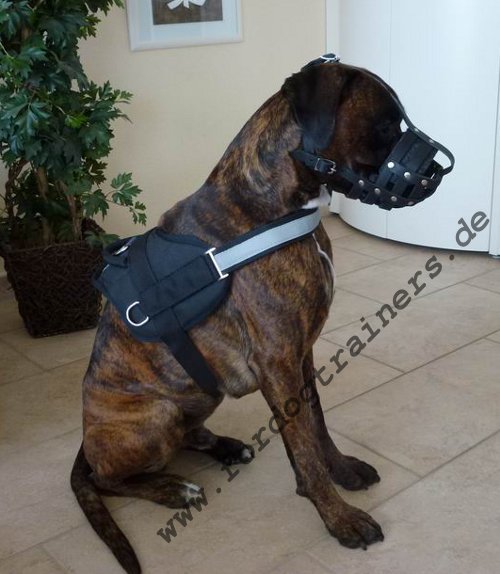 Hundegeschirr Sport für Boxer